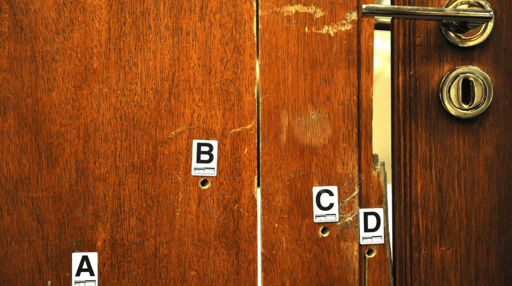 Was Oscar Pistorius Wrongfully&nbsp;Convicted?